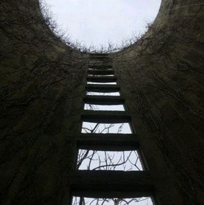 Meet your Posher, Izzy